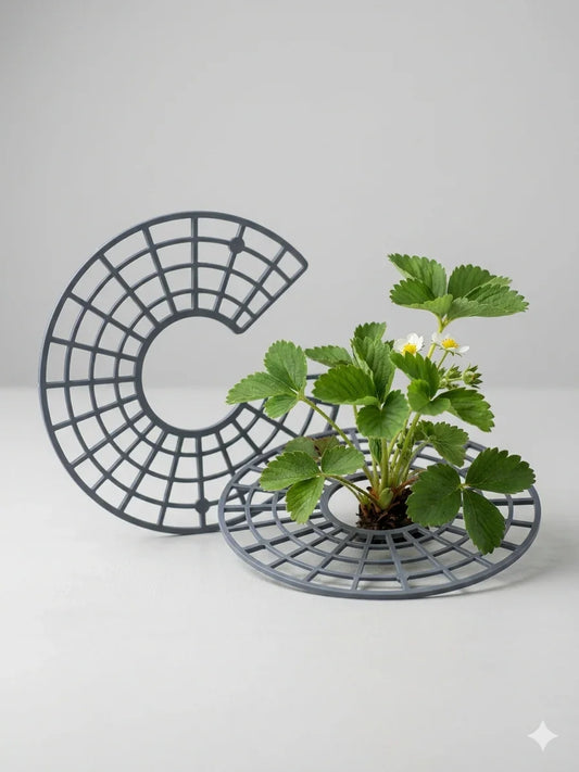 Erdbeerschutz Garten 10er Set