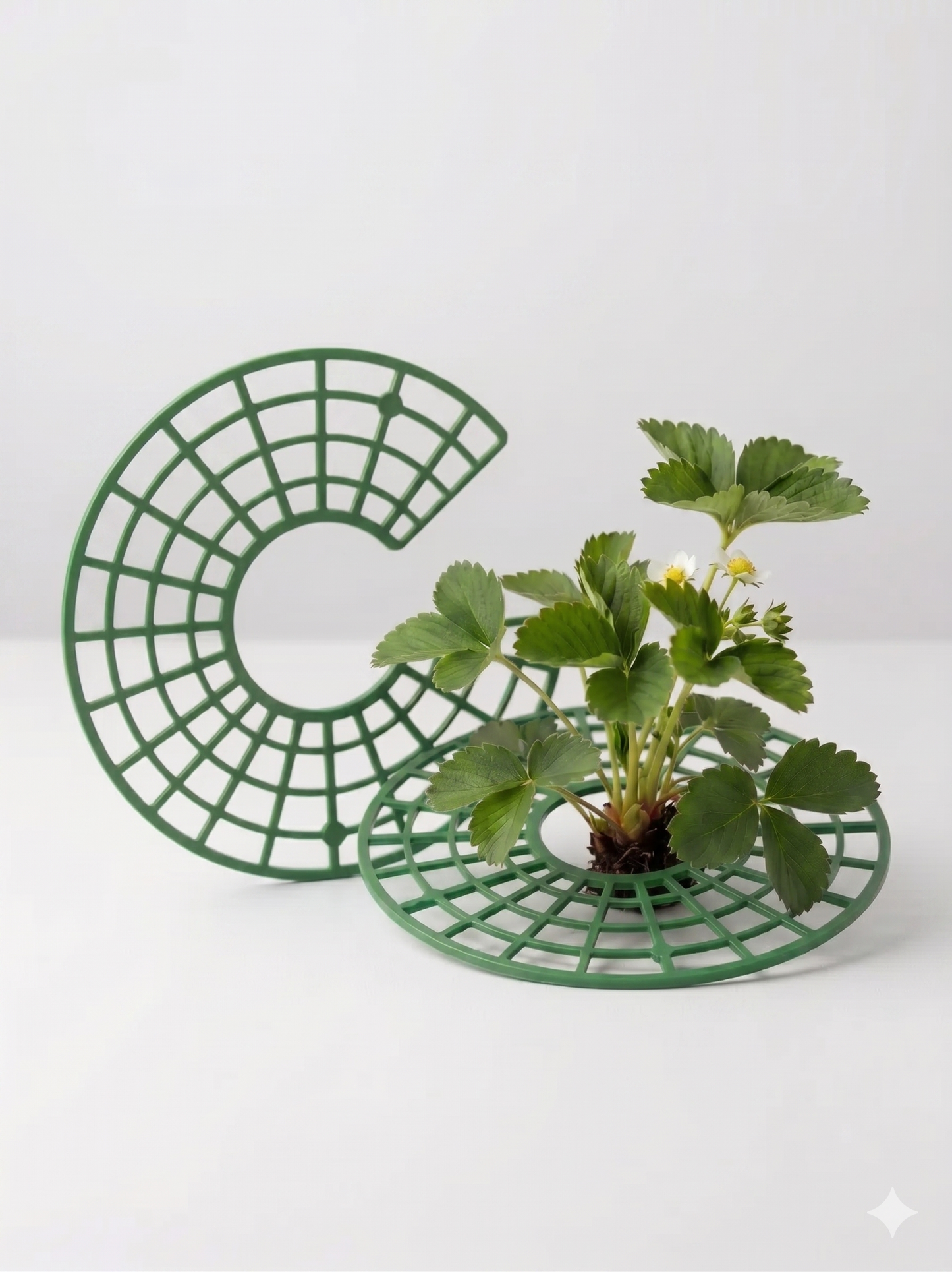 Erdbeerschutz Garten 10er Set